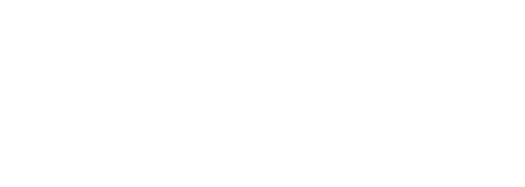 Novum Optical